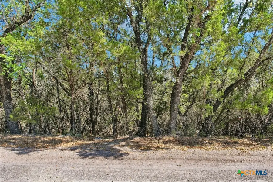 4005 Cooper Lane, Lago Vista, TX 78645 - Image #2