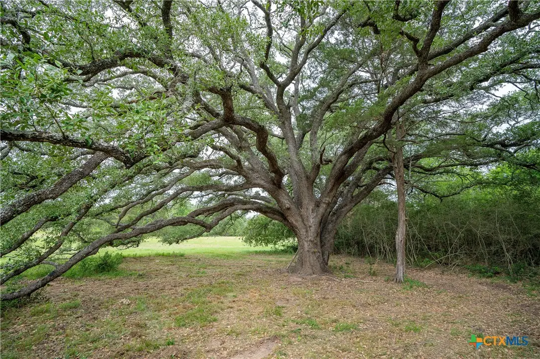 TBD Fm 713 Highway, Rosanky, TX 78953 - #1