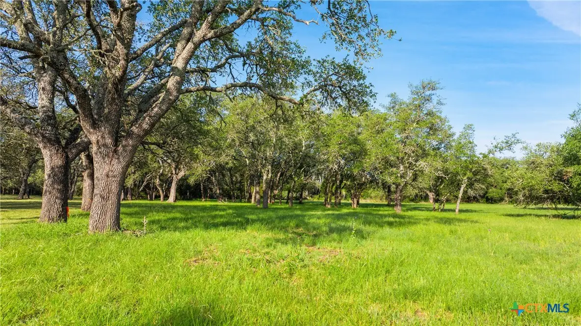 Lot 7 Morning Dew Drive, Round Mountain, TX 78663 - #1