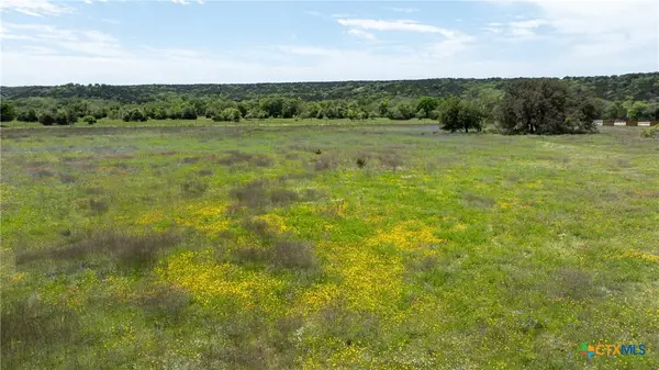 110 Yellowstone Drive, Oglesby, TX 76561