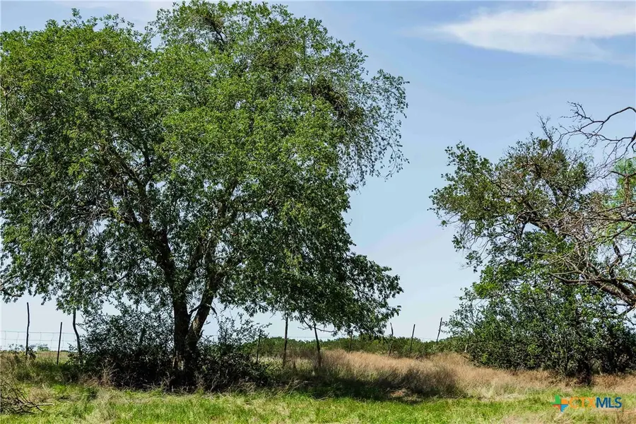 TBD County Road 203, Burnet, TX 78611 - Image #3