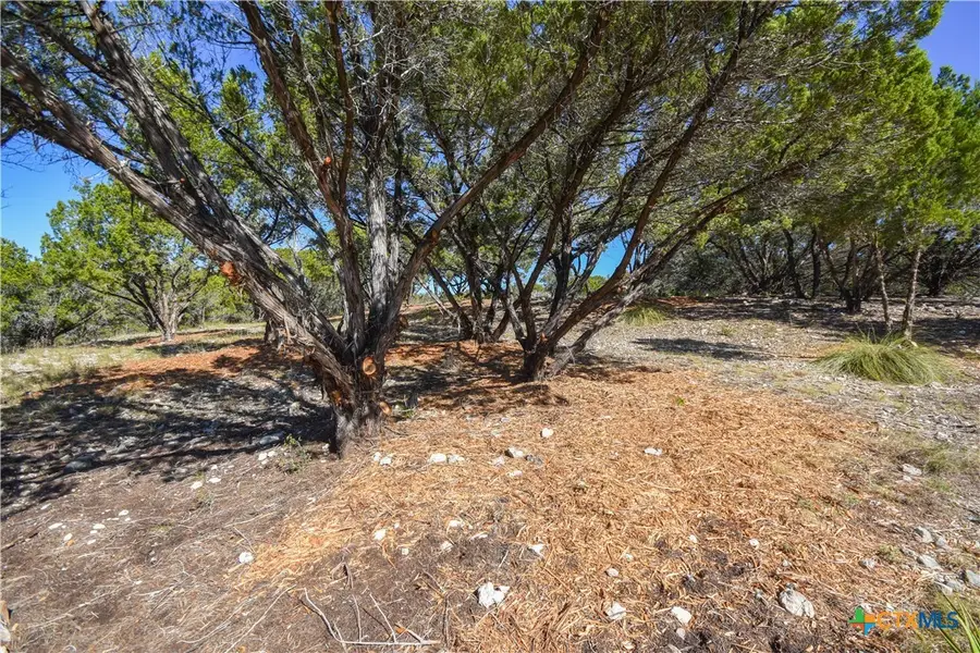 20008 Charlestown Cove, Lago Vista, TX 78645 - Image #3