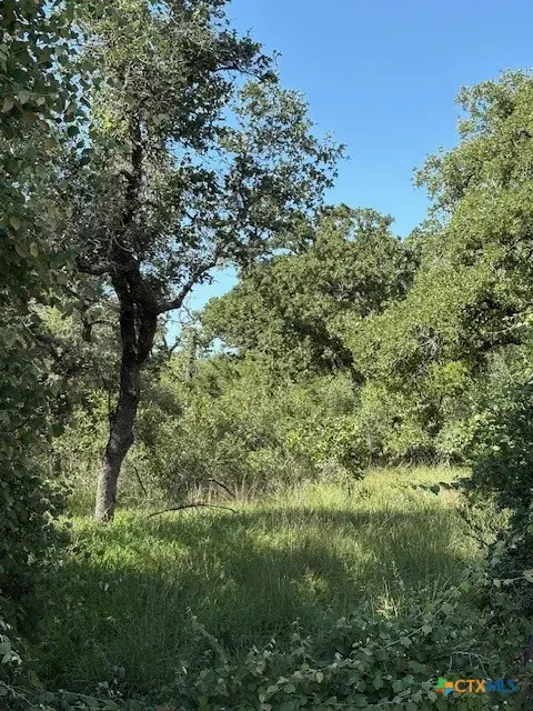 #2