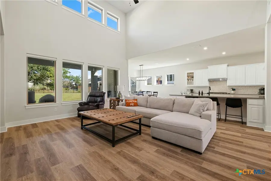 117 Peacevine Lane, Liberty Hill, TX 78642 - #3