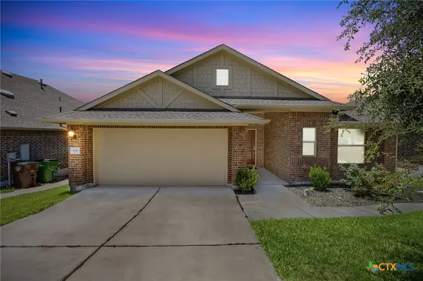 131 Mount Ellen Street, Hutto, TX 78634