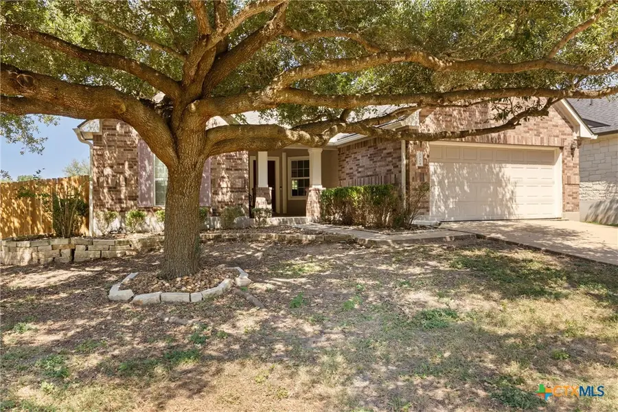 880 Bottle Brush Drive, Kyle, TX 78640 - Image #2