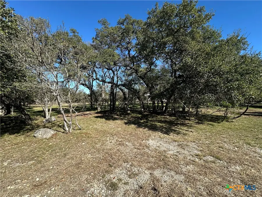 821 Wild Turkey Run, New Braunfels, TX 78132 - Image #3