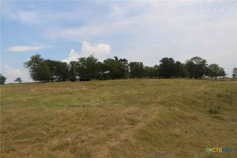 TBA County Road 417, Taylor, TX 76574 - #3