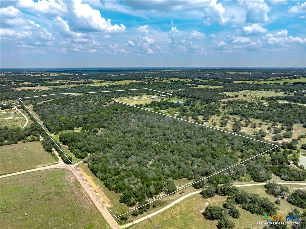 10842 Rauch Road, Ledbetter, TX 78946 - #1