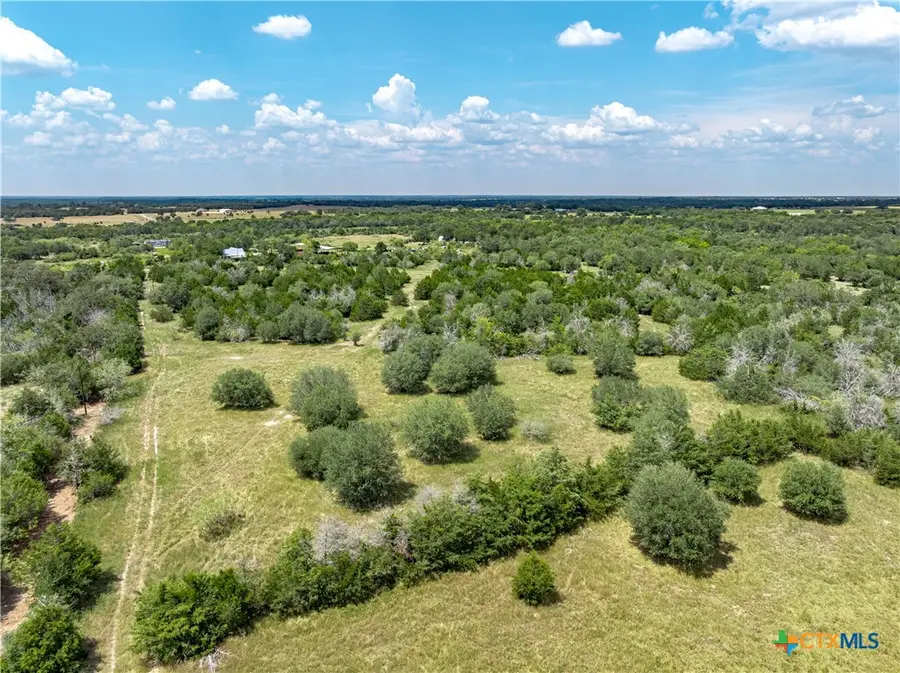 10842 Rauch Road, Ledbetter, TX 78946 - #2