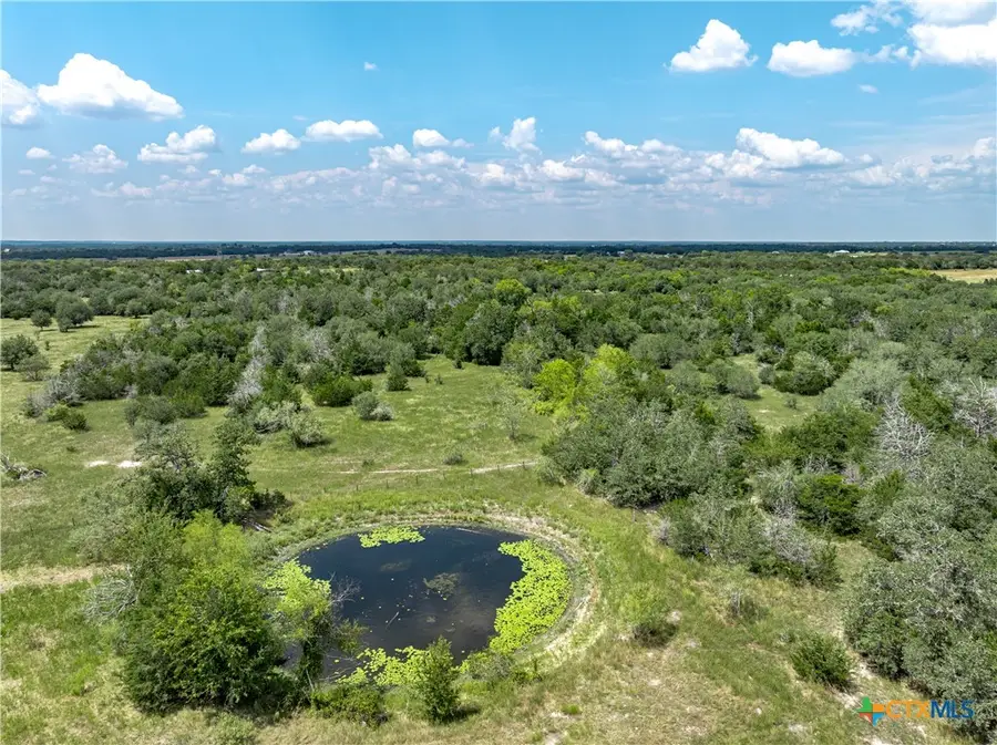10842 Rauch Road, Ledbetter, TX 78946 - #3