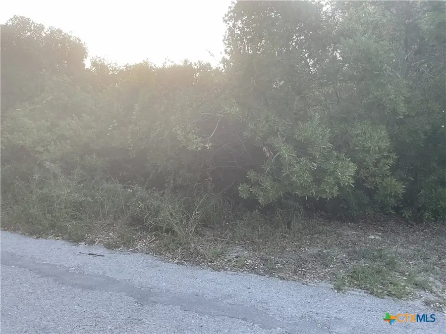 Lot 2 S 12th St, Aransas Pass, TX 78336 - #2