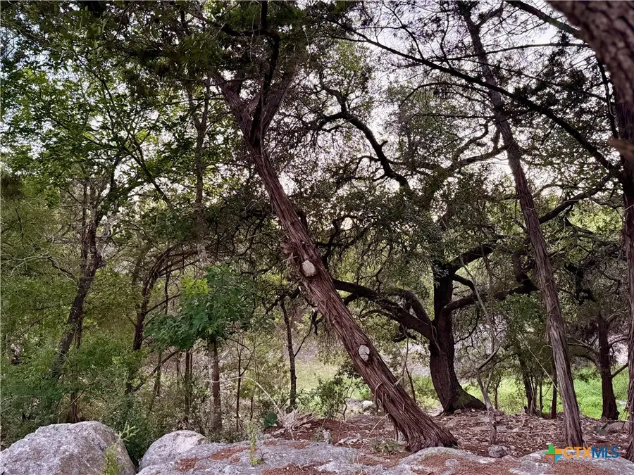 1043 Summit Bluff, Canyon Lake, TX 78133 - Image #2