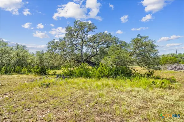 Lot 170 Heartleaf Drive, Lampasas, TX 76550