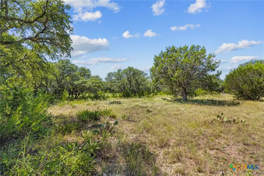 Lot 170 Heartleaf Drive, Lampasas, TX 76550 - #2