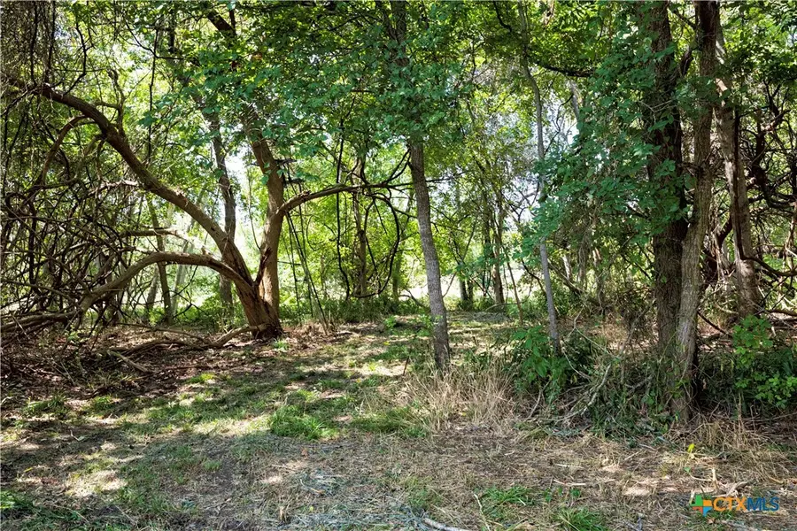 710 County Road 211a, Hallettsville, TX 77964 - #3