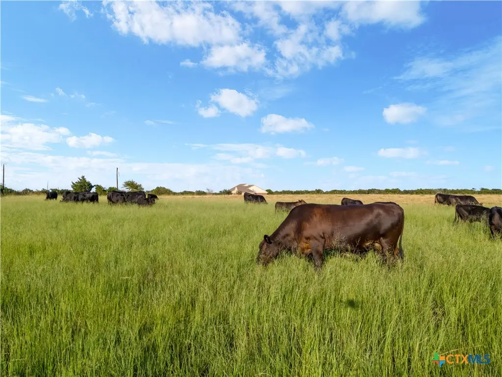 5.83 ac. TBD Hodge Road, Eddy, TX 76524 - #1