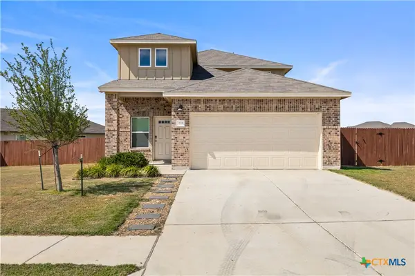 221 Longmount Cove, Liberty Hill, TX 78642