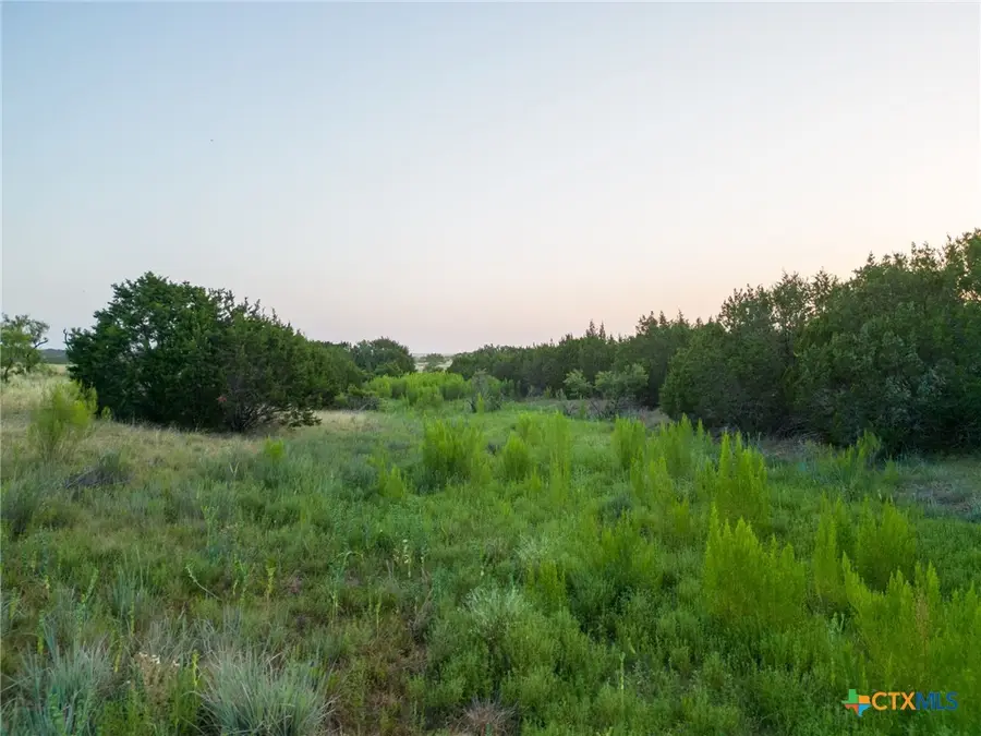 TBD Shin Oak Drive, Lampasas, TX 76550 - #3