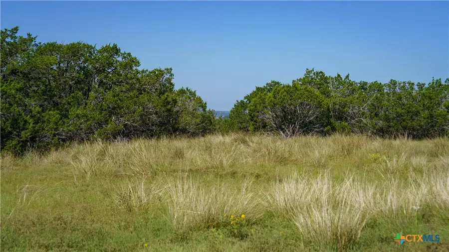 150 Branched Out Trail, Kerrville, TX 78028 - #3