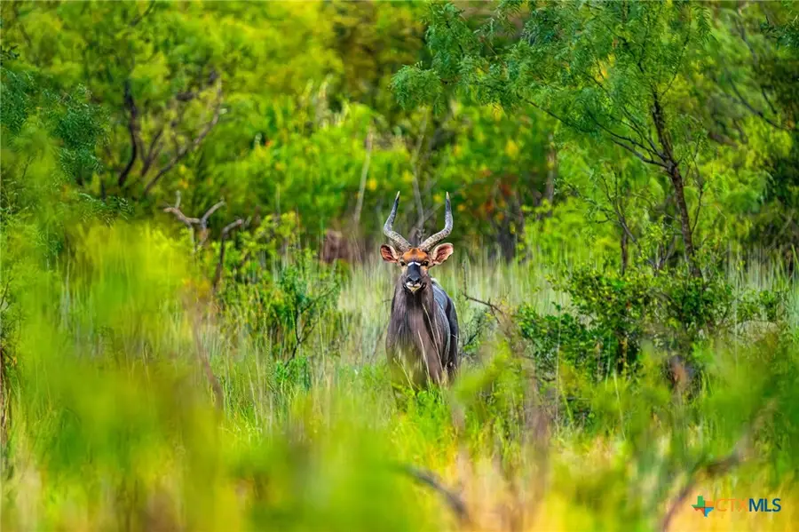 3021 Fm 1689, Comanche, TX 76442 - #3