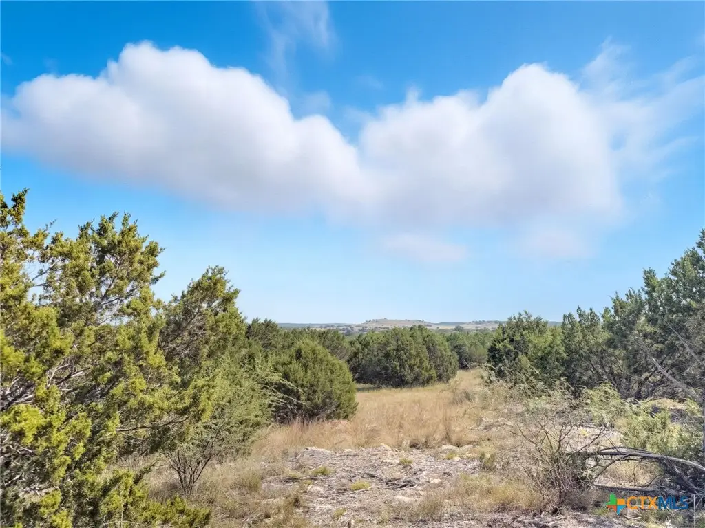 Lot 2 Ph 3 Pr 42110, Evant, TX 76525 - #1