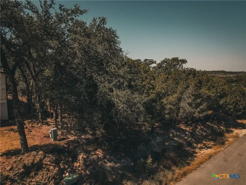 21703 Pope Drive, Leander, TX 78645 - #1