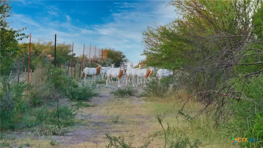 000 Ranch To Market 3008, Brackettville, TX 78832 - Image #3