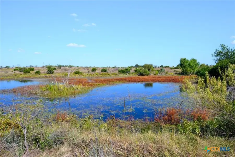TBD-61.63 Acres County Road 414, Jonesboro, TX 76538 - #3
