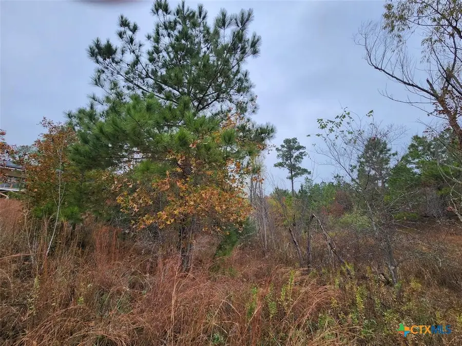 TBD Mahalo Court, Bastrop, TX 78602 - Image #3