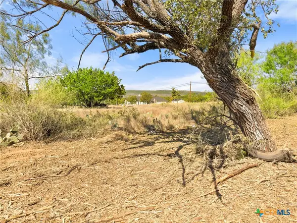 1133 County Road 118, Burnet, TX 78611