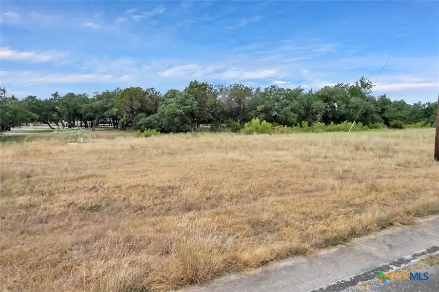 Lots 105 & 110 County Road 100, Burnet, TX 78611 - Image #3