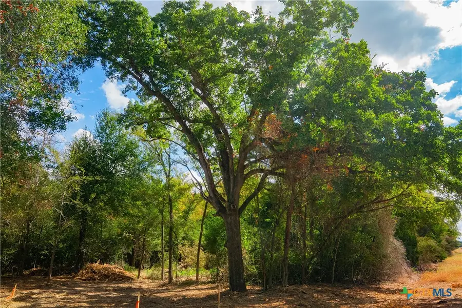 12608 Red Hill Rd, Hearne, TX 77859 - Image #3