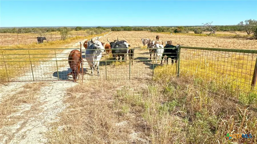 4060 County Road 3270, Kempner, TX 76539 - Image #3