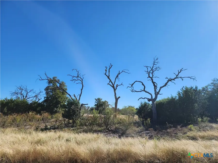 Lot 73 Shin Oak Drive, Lampasas, TX 76550 - #3