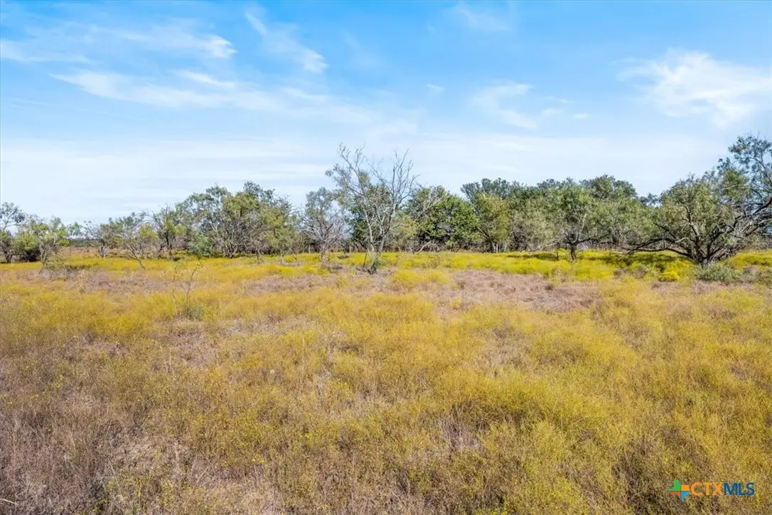 TBD-82.6 Acres Farm Market 221, Hamilton, TX 76531 - #1