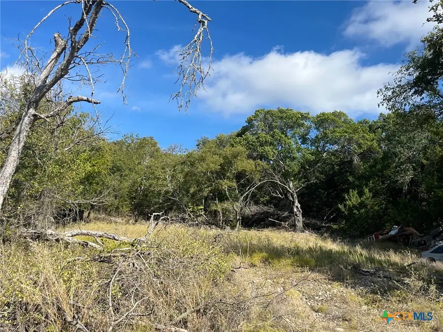 405 E Magnolia, Lometa, TX 76853 - Image #2