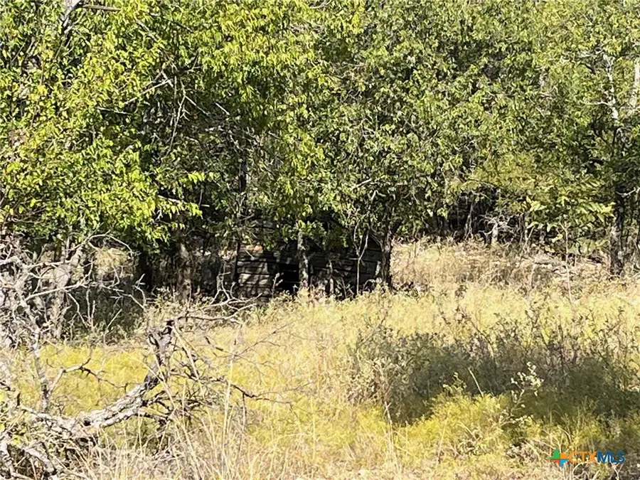 405 E Magnolia, Lometa, TX 76853 - Image #3