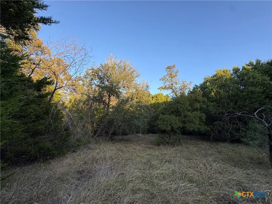 0 County Road 2773, Lometa, TX 76853 - Image #2