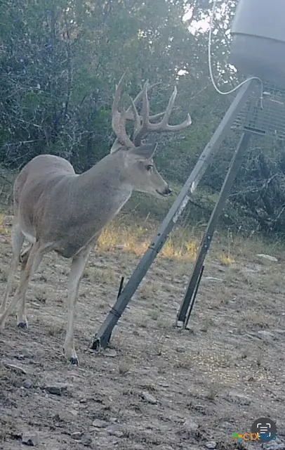 0 County Road 2773, Lometa, TX 76853 - Image #3