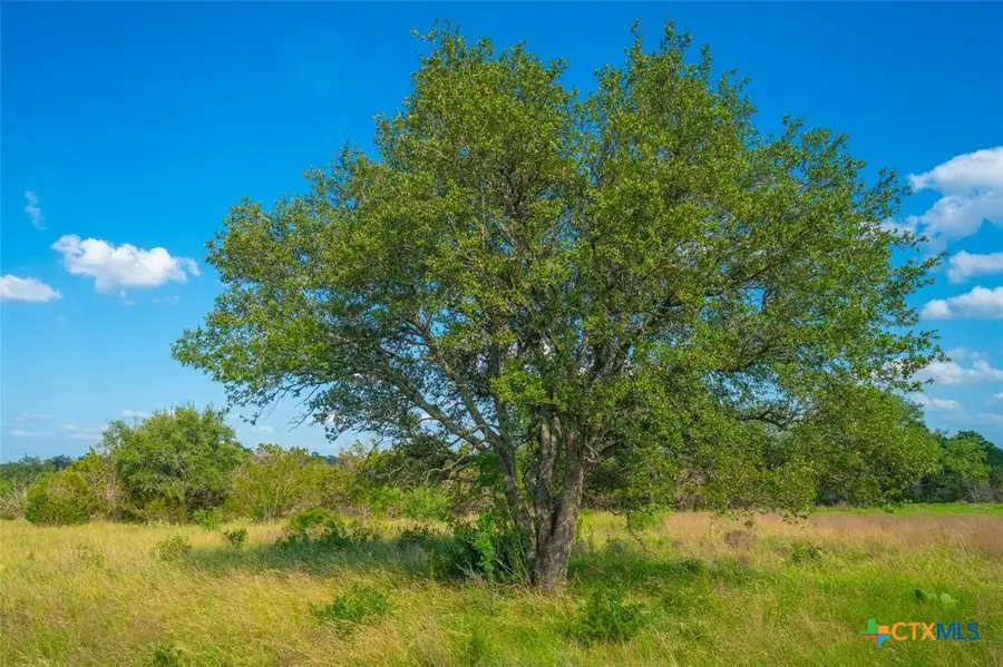 0000 Long View Ranch, Johnson City, TX 78636 - Image #2