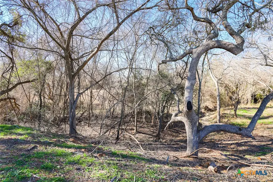 511 Cr 362 #Lot 3, Shiner, TX 77984 - Image #3