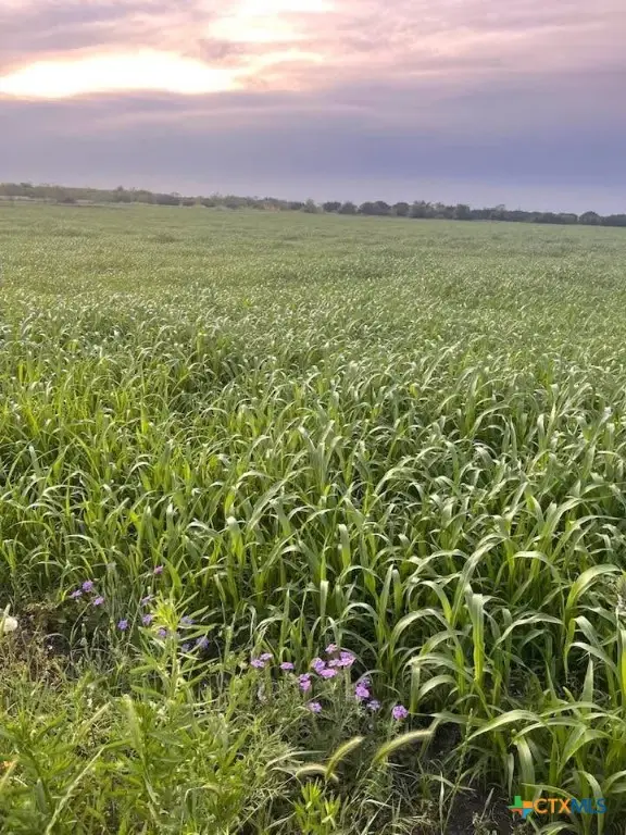 TBD Private Road 3642, Copperas Cove, TX 76522 - Image #1