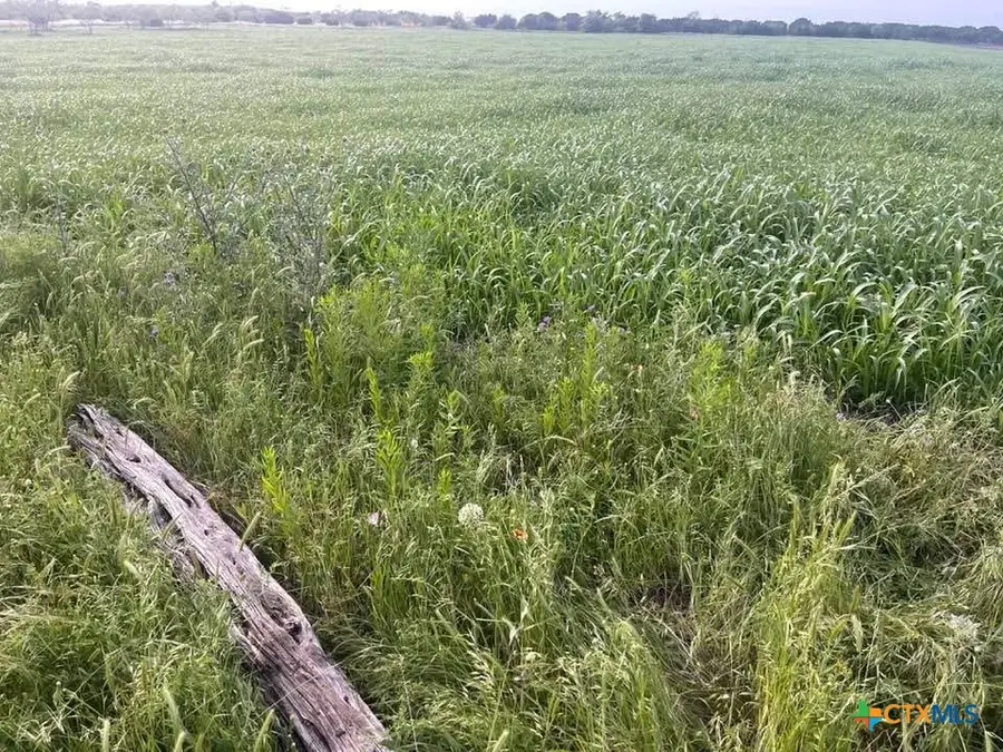 TBD Private Road 3642, Copperas Cove, TX 76522 - Image #2