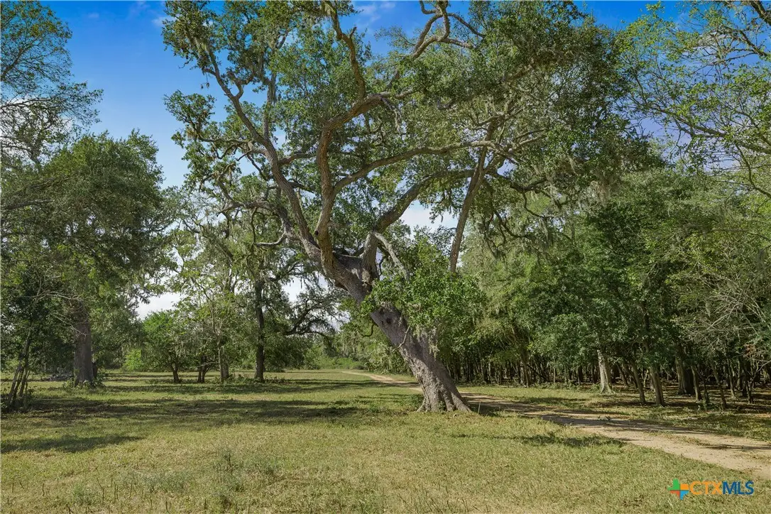 1733 County Road 284, Edna, TX 77957 - Image #1