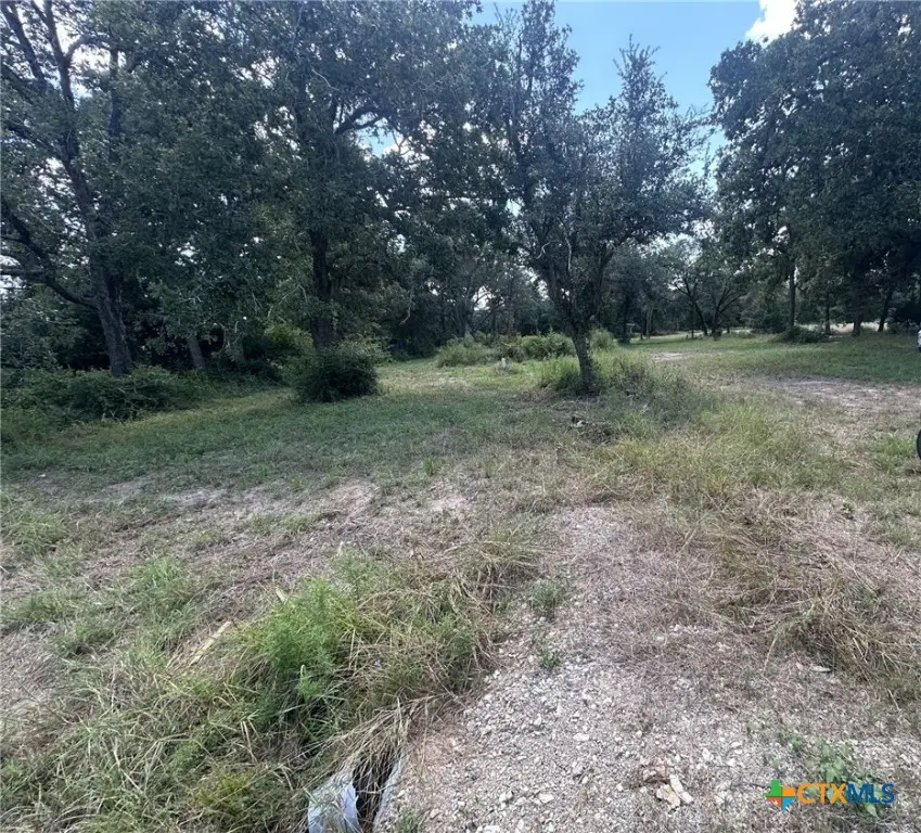 1031 Hollybrook Drive, Inez, TX 77968 - Image #2