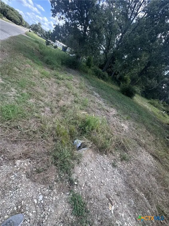 1031 Hollybrook Drive, Inez, TX 77968 - Image #3