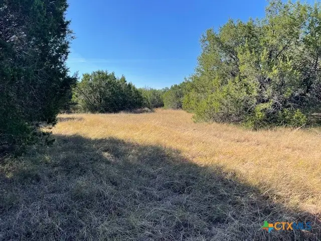 TBD Counrty 1045, Lampasas, TX 76550 - Image #2
