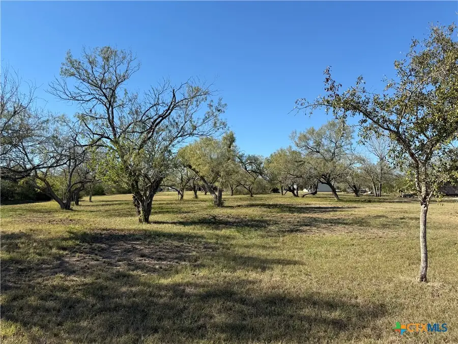 150 Tomahawk Trail, Seguin, TX 78155 - Image #3