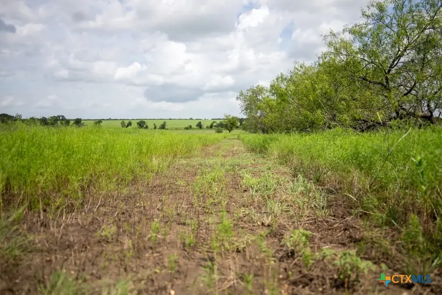 000 Meier Settlement Road, Riesel, TX 76682 - Image #3